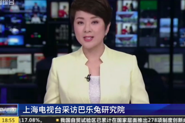 巴乐兔携手上海电视台，畅谈毕业季租房新动向