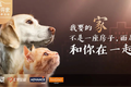 E宠公益联合四个城市发起“小宠寻家”公益领养活动