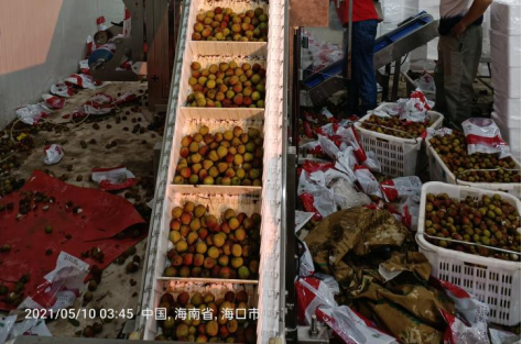 “深喉”发声，复盘社区团购败局之路