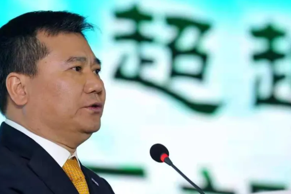张近东自救之旅