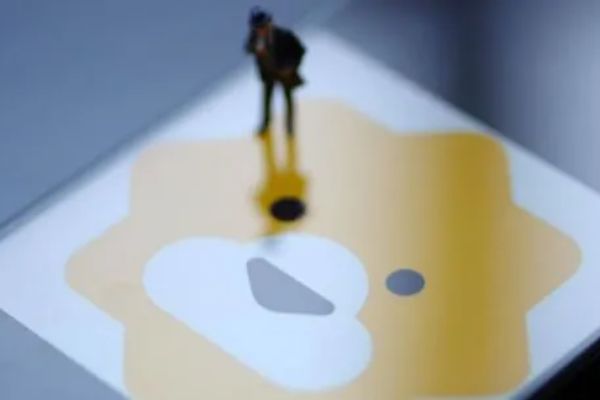 苏宁易购，谁来接棒？