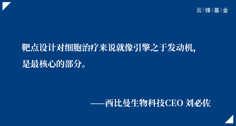 西比曼刘必佐：只有敢于做突破性选择，才能拿到突破性结果｜云锋Talk·突围①