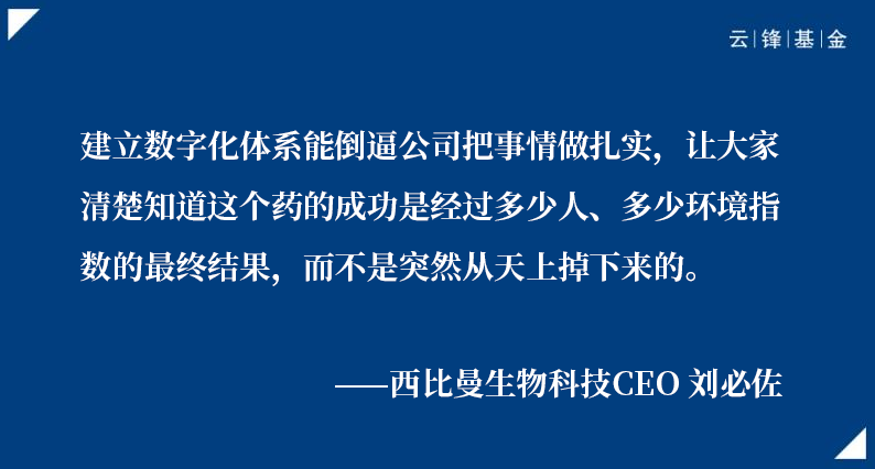 西比曼刘必佐：只有敢于做突破性选择，才能拿到突破性结果｜云锋Talk·突围①