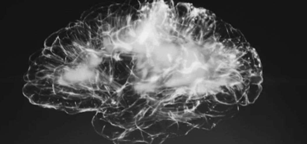 <dptag>腦</dptag>神經科學+AI，真·究極體的人<dptag>工</dptag>智能？