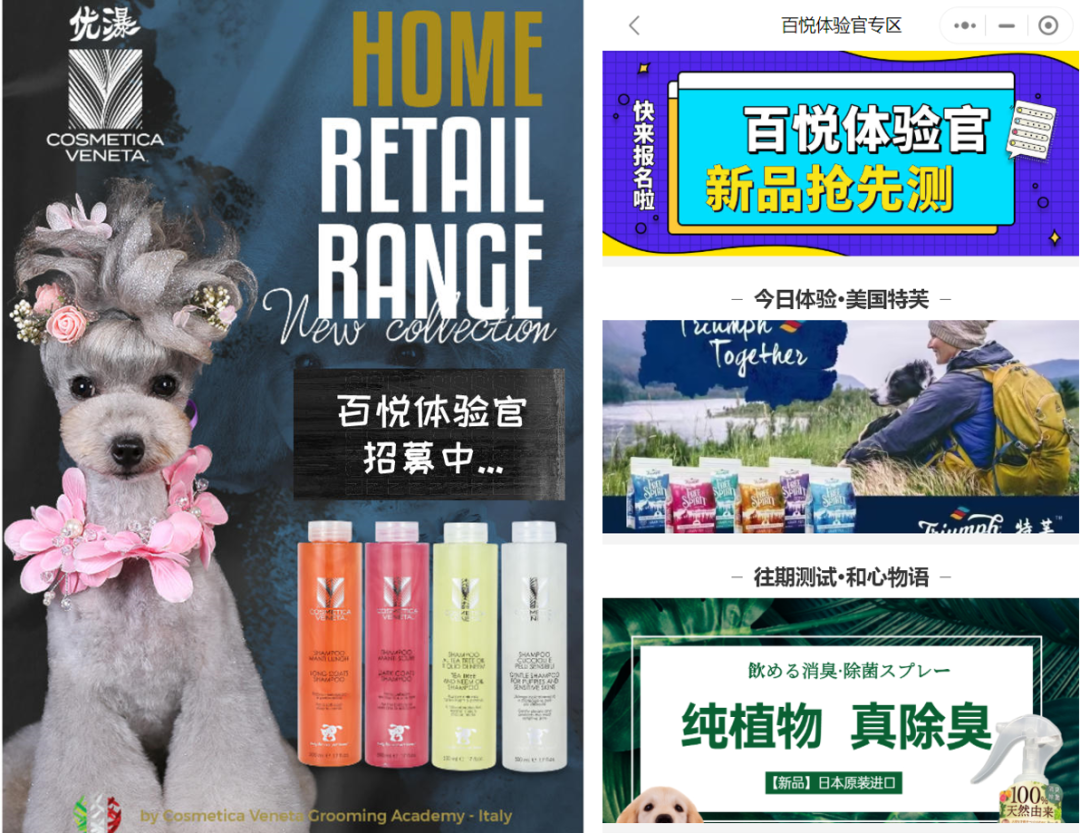 私探招聘_家庭主妇如何赚钱 微商现在还能做吗(4)
