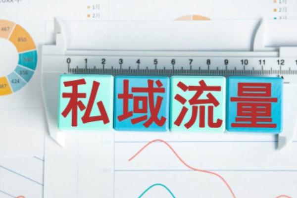 电商平台私域流量升级指南