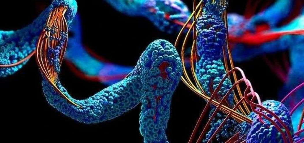 成功預測98.5%人類蛋<dptag>白</dptag>質(zhì)結(jié)構(gòu)再登Nature，從頭說說AlphaFold2的雄心壯志