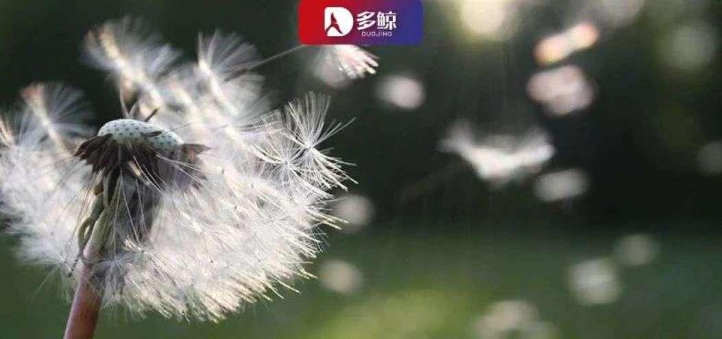 素質教育進化，音<dptag>視</dptag><dptag>頻</dptag>探路新風口
