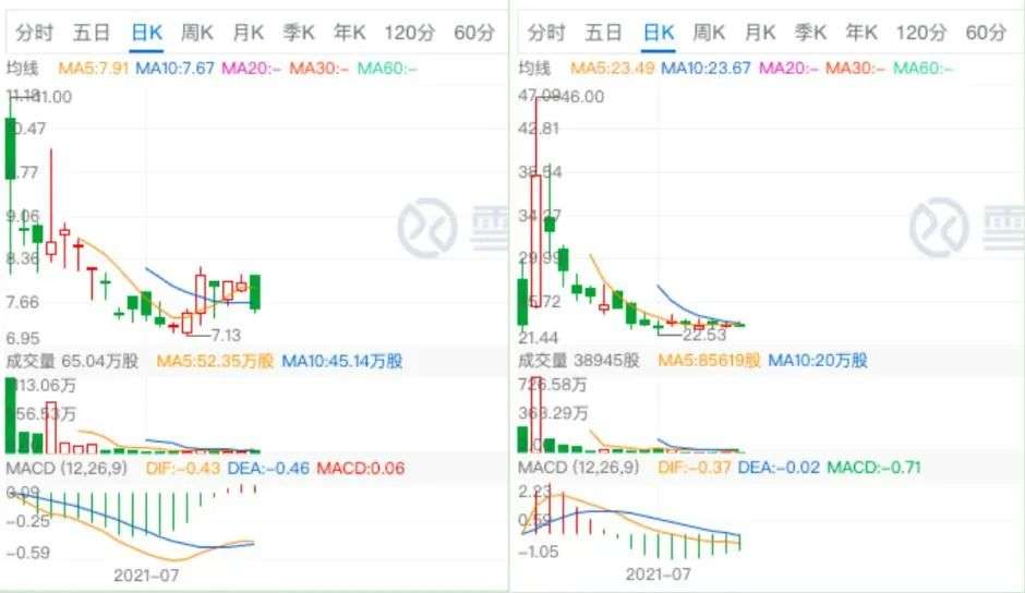 生鲜电商是如何沦为“时代弃子”的？