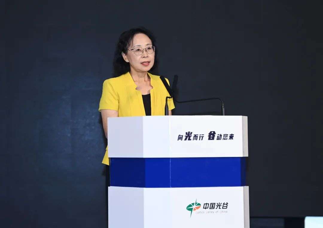 武汉大学副校长吴平:立足全国,放眼全球,为光谷延揽人才