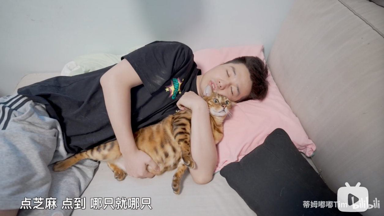 网上卖萌的猫猫狗狗，能给自己赚到鱼干狗粮吗？