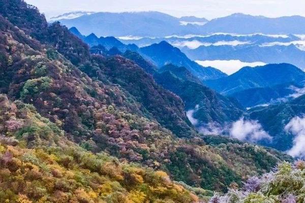 土豆数据云原生助力秦岭新一代调查监测体系试点项目