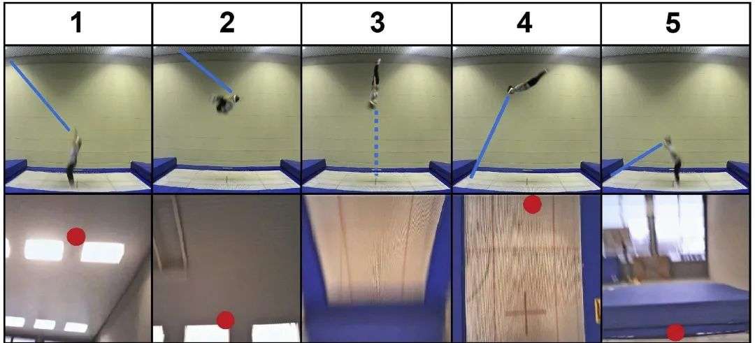 体操、跳水……各种转圈的时候，运动员会睁眼吗？