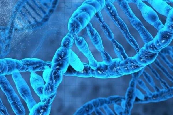 美团投资合成生物平台恩和生物，首次布局生物科技领域
