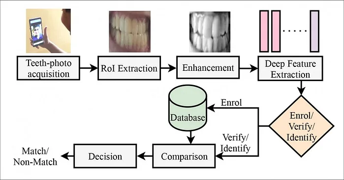 以后可以「刷牙」支付了？DeepTeeth牙齿生物识别系统识别率高达100%