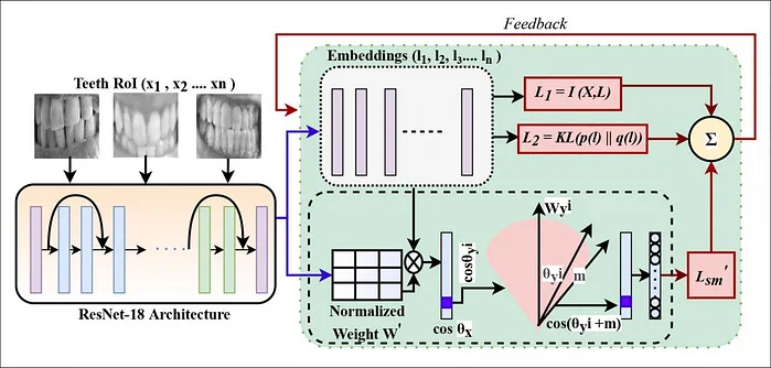 以后可以「刷牙」支付了？DeepTeeth牙齿生物识别系统识别率高达100%