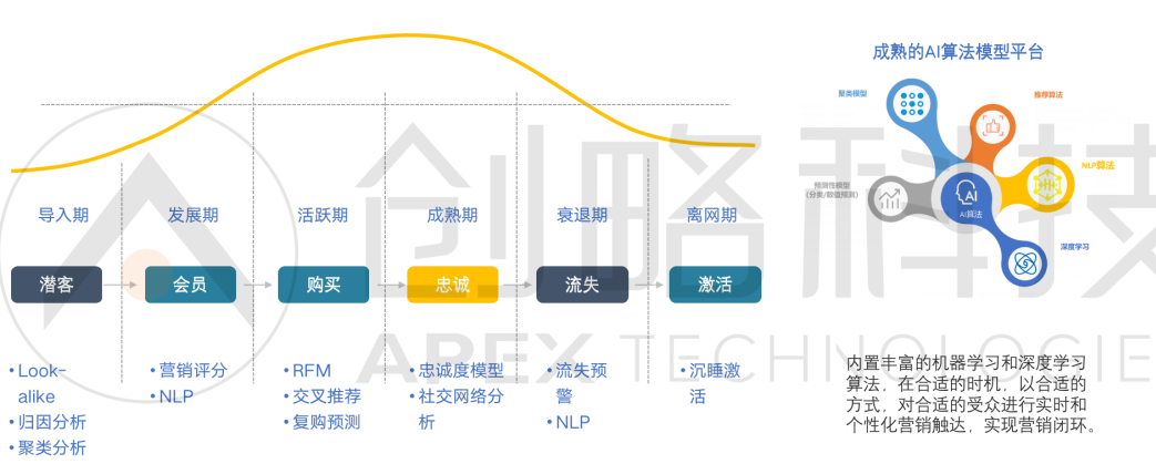 聚焦CDP数据智能营销方案，「创略科技」开拓跨境出海业务新场景