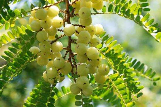 阿里、腾讯、字节跳动都感兴趣的新茶饮，还有多大的想象空间？