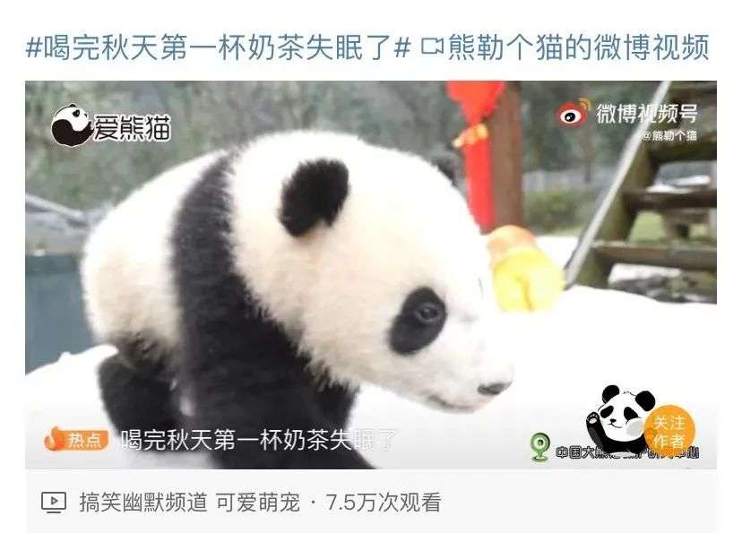 “秋天的第一杯奶茶”回归，全国奶茶店都卖爆了