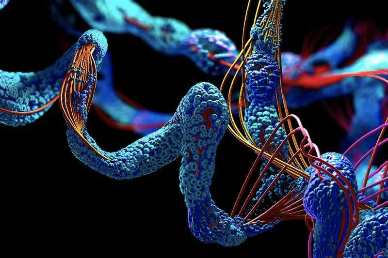 alphafold攻破生物学50年难题,碳基创新加速度-36氪