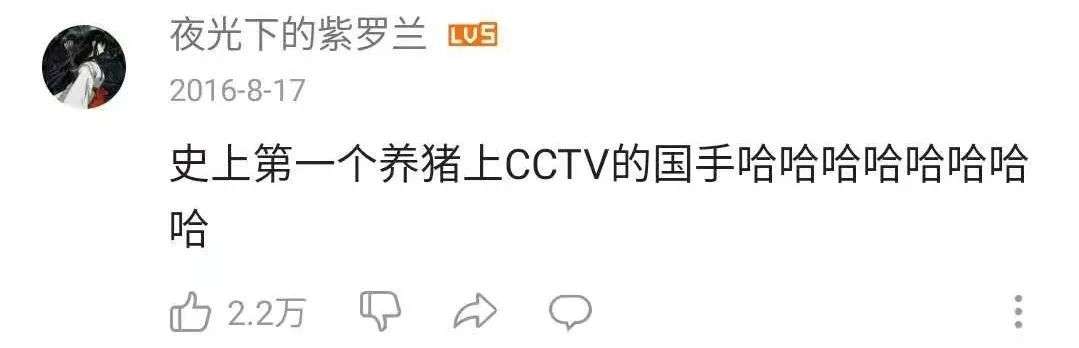 中国乒乓球队，B站新晋喜剧天团