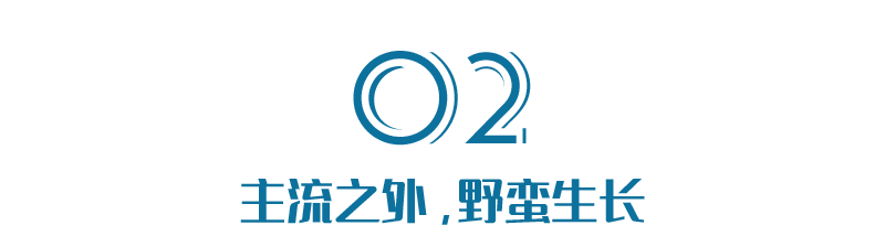 这个300亿的隐秘生意，越来越多年轻人说“真香”