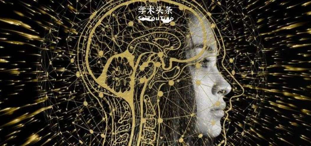 向天<dptag>線</dptag>寶寶“借”根天<dptag>線</dptag>？最<dptag>新</dptag>腦機接口研究實現雙向控制