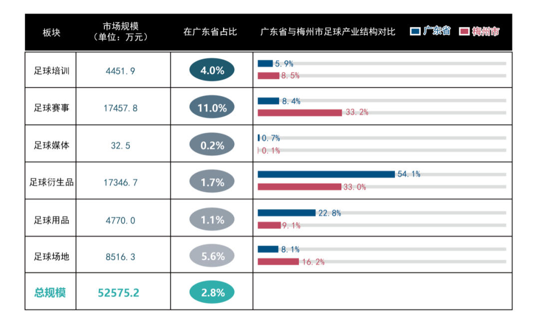 “全国足球第一城”如何炼成？33万字报告揭秘“足球之乡”梅州