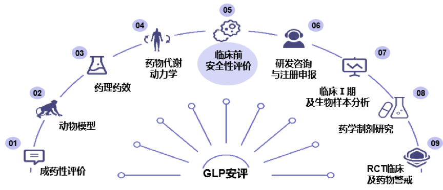药学制剂,药理药效,模型动物,药物代谢分析,非临床安全性评价,临床