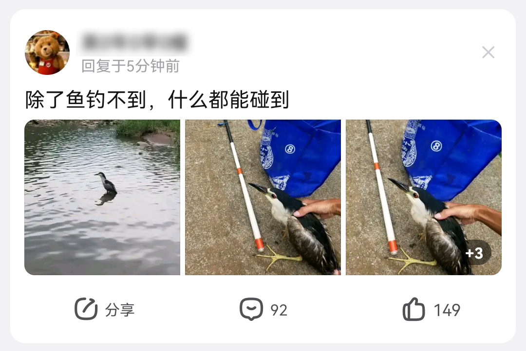 200万95后每年都在买，一个被爸爸们带火的千亿市场