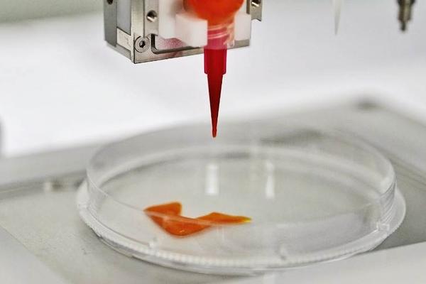 36氪首发 | 3D打印出动物肉的口感，细胞培养肉公司「CellX」完成数千万元人民币天使轮融资-36氪