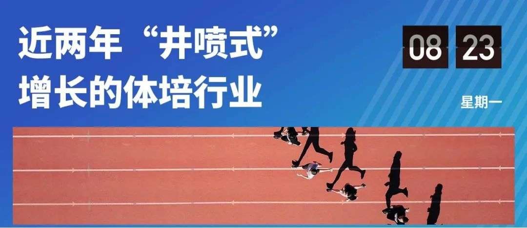 双减之外，素质之内，体育培训也并非无忧无虑