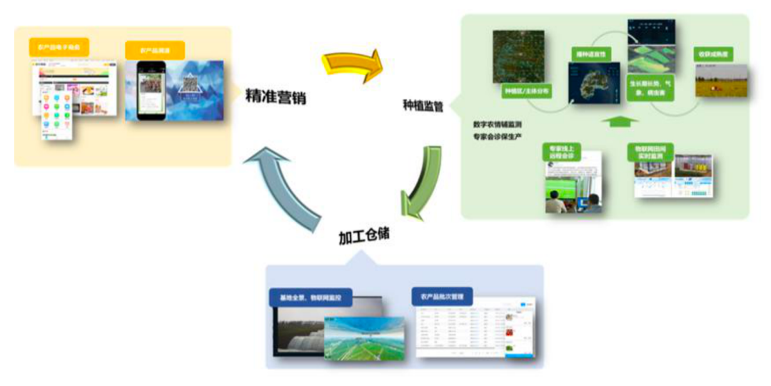 提升农业经济效益超17.4亿元：阜宁县的数字乡村建设经验