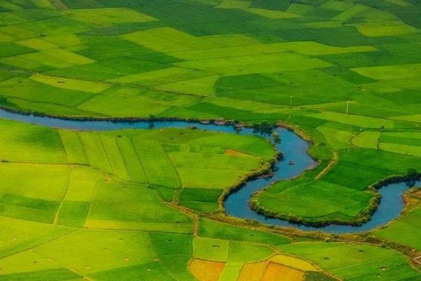 提升农业经济效益超17.4亿元：阜宁县的数字乡村建设经验