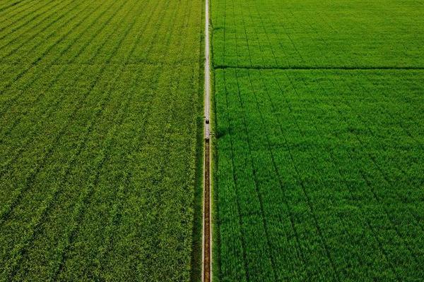 深圳农业数字化产业互联网平台“时代农信”完成数千万元Pre-A轮融资，华粤创展领投