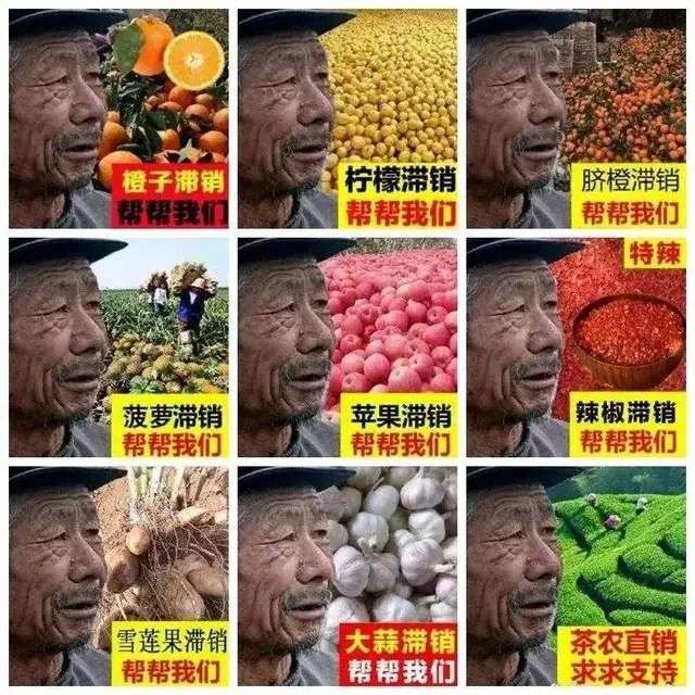 透支社会善意，卖惨带货的戏码该凉凉了_详细解读_最新资讯_热点事件