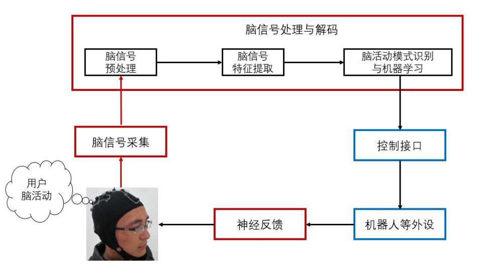 从科学幻想到技术爆发脑机接口技术的第一个50年