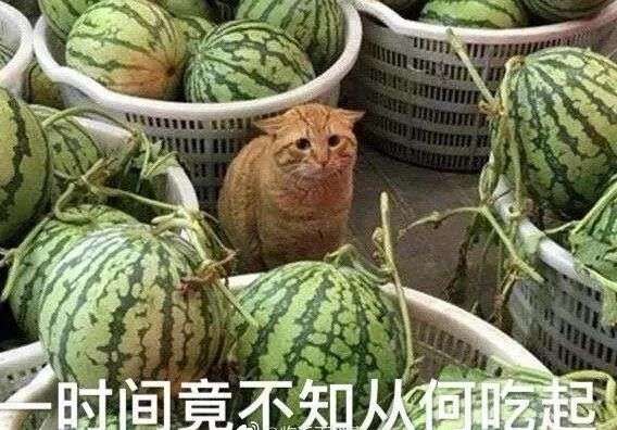吃瓜一种群众喜闻乐见的休闲活动