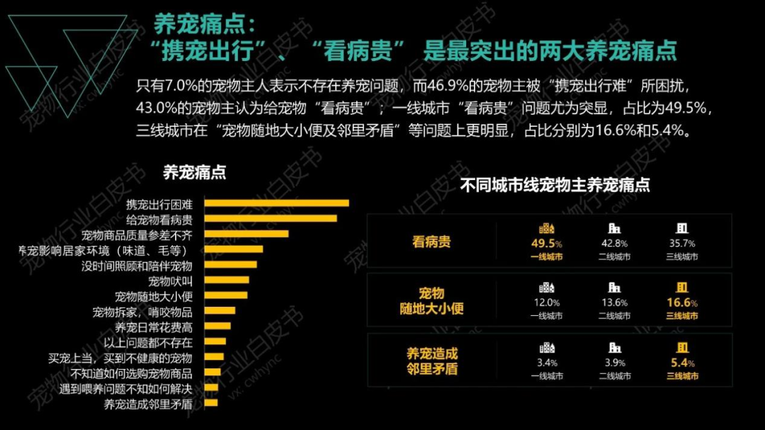 殡葬、保险、美容……千亿宠物市场，养一只猫能有多花钱？