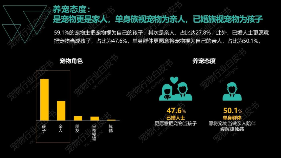 殡葬、保险、美容……千亿宠物市场，养一只猫能有多花钱？