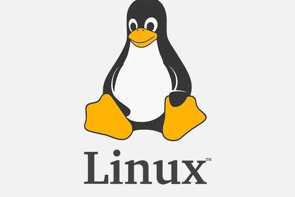 Linux二十年产权官司告终：IBM赔偿近亿元，期间“熬死”一位起诉方-36氪