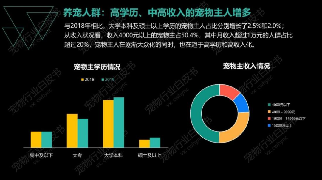 殡葬、保险、美容……千亿宠物市场，养一只猫能有多花钱？