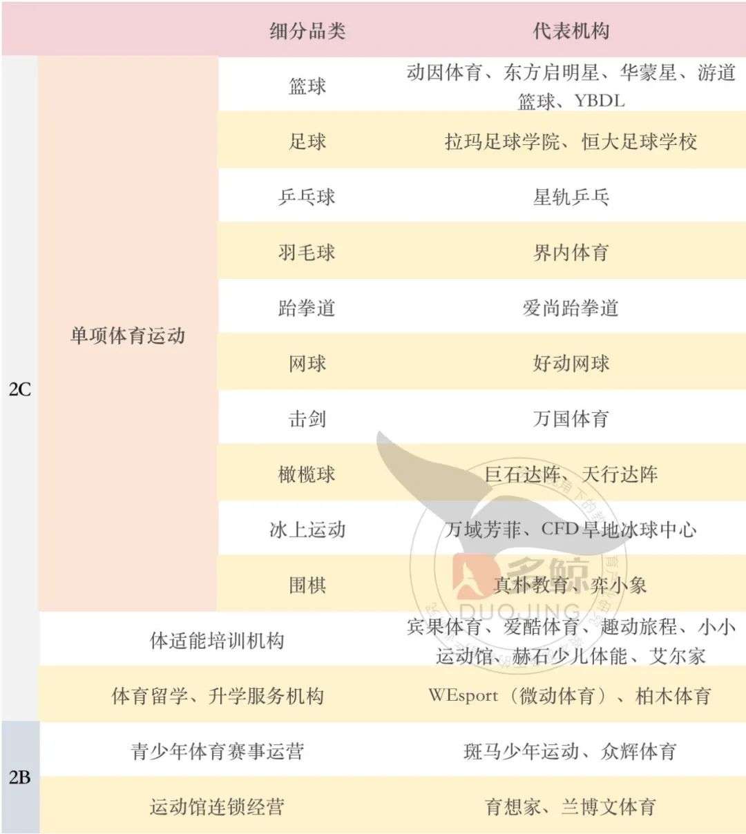 青少年体育培训，「转正」时刻