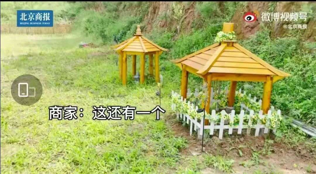 宠物墓地价格逼近京郊房价：猫狗都死不起的背后，还有一摊子不合规_详细解读_最新资讯_热点事件