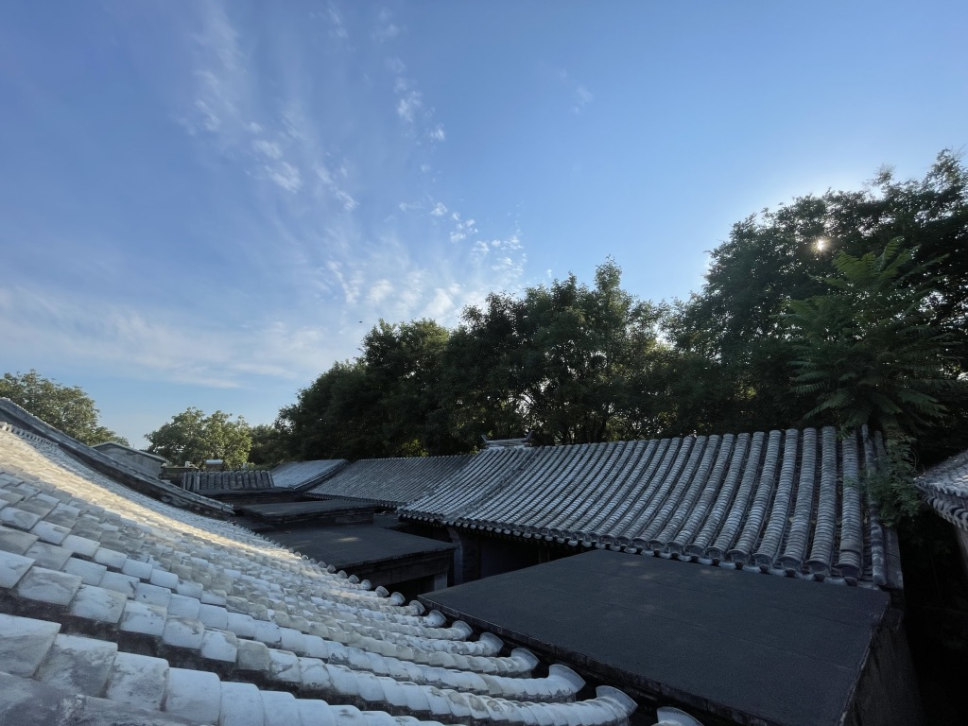 北京家族势力排行_北京一村霸被判刑:搞“家族统治”妻子被称“太后”