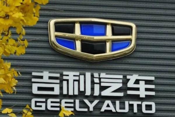 重回多品牌战略的吉利，成功了但还没有完全成功