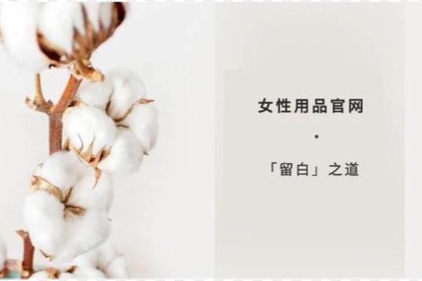 用凡科网打造有“呼吸感”的高端官网，获得更多商机