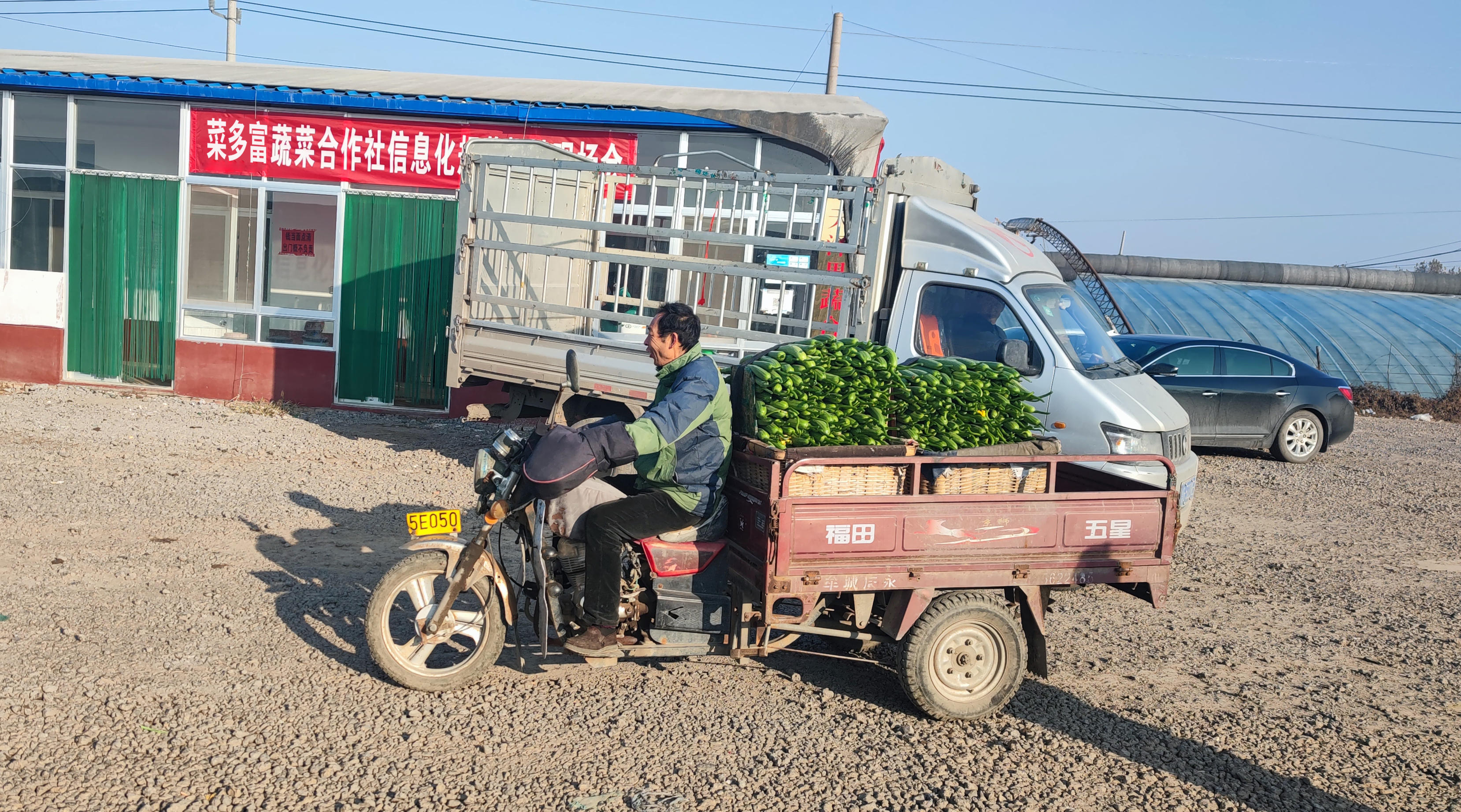 菜多富在寿光落地超50家400完成注册
