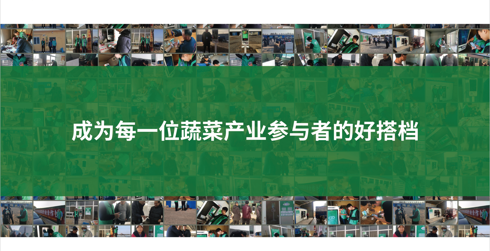 菜多富在寿光落地超50家400完成注册