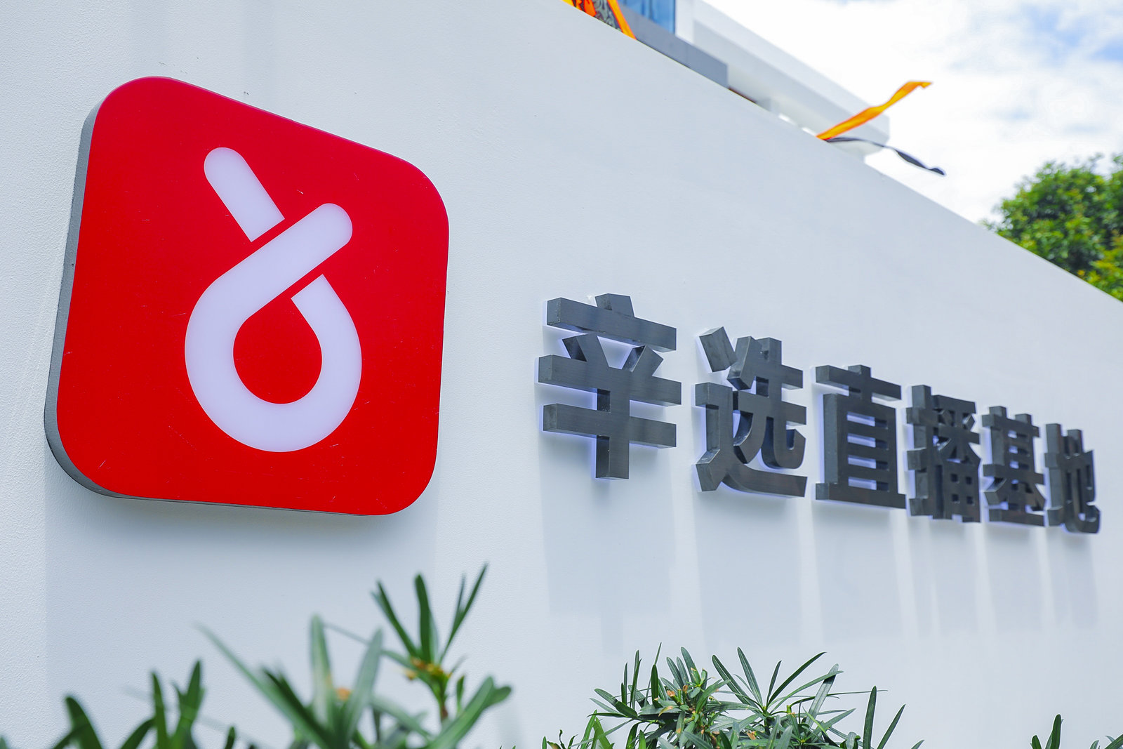 以辛选集团为代表的案例分析,可以为更多直播电商企